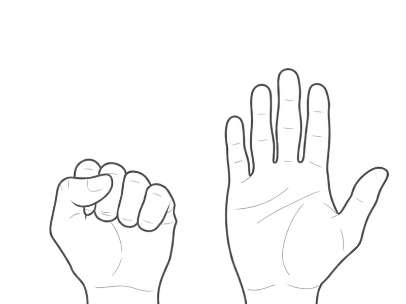 An illustration from the fist–palm exercise: one hand closed, the other open.